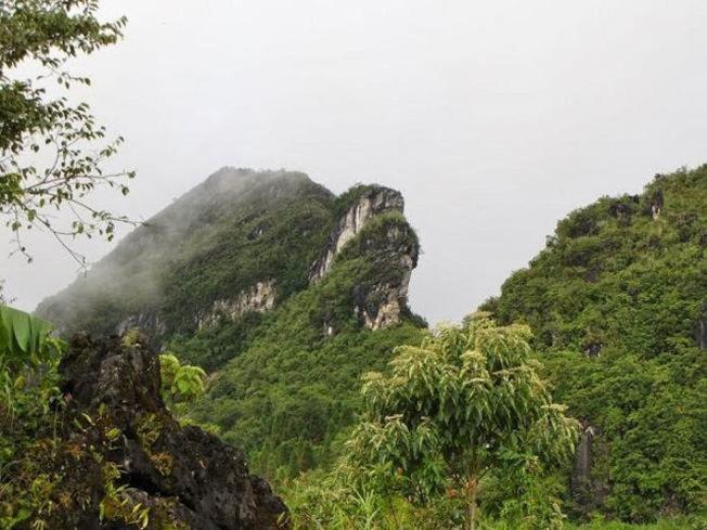 Sapa Harmony Homestay Dış mekan fotoğraf